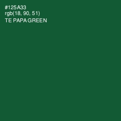 #125A33 - Te Papa Green Color Image